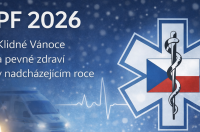 ***Klidné a pohodové Vánoce a velmi úspěšný rok 2026***