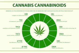 Kvůli „umělé marihuaně“ v Praze rychle přibývá výjezdů sanitek. Nejmladším pacientům je 11 let